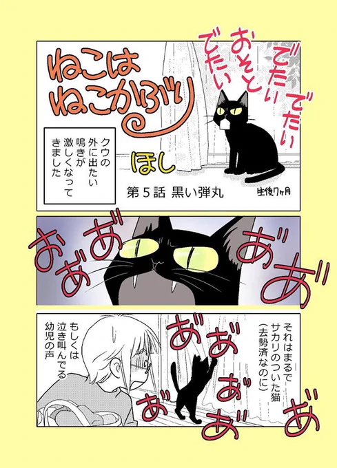 【ねこはねこかぶり】
第5話 黒い弾丸(1/2)
生後7ヶ月を迎え有り余る体力で外に出たがるクウと初老の漫画家のお話。

#ねこはねこかぶり
#黒猫クウ 