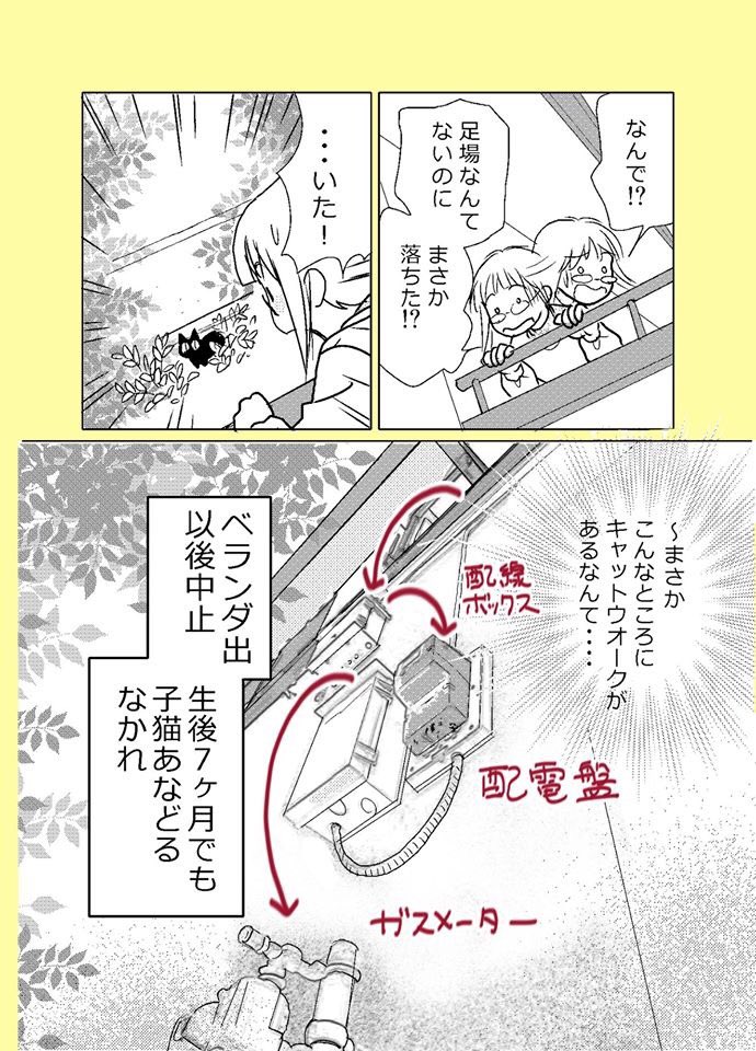【ねこはねこかぶり】
第5話 黒い弾丸(1/2)
生後7ヶ月を迎え有り余る体力で外に出たがるクウと初老の漫画家のお話。
#ねこはねこかぶり
#黒猫クウ