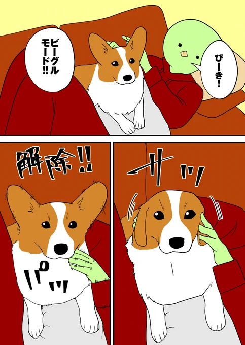 コーギーをビーグルにする遊び。 