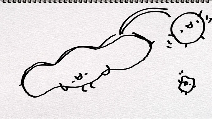 豆が弾けた枝豆ようかんです 