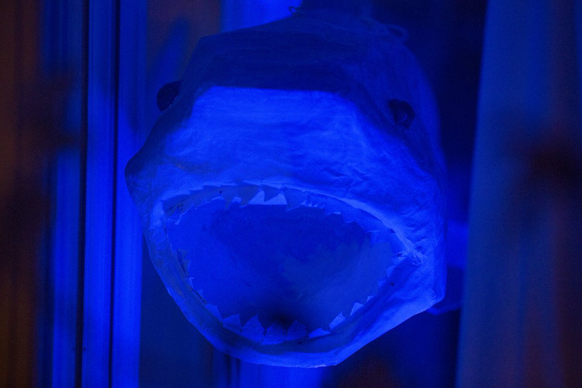 BGWindowShow's tweet photo. To be aware: there is a 3ft papier mache shark at the north end of Marlborough Road #bgwindowshow2020 https://t.co/SL2H4FwVAb