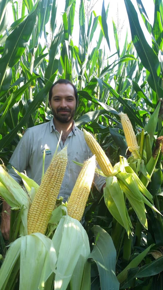 CSN_agro's tweet photo. Recorrida de 🌽 #Nord en Valle de Lerma, Salta. ACIS PWU mostrando que está a la ALTURA! https://t.co/60EiXNiYzn