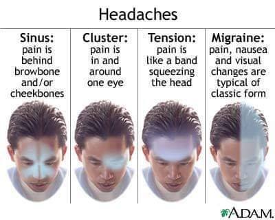 2021NutriConf's tweet photo. Headaches
#nutrition #ICNFGermany https://t.co/woCIRdeQNm