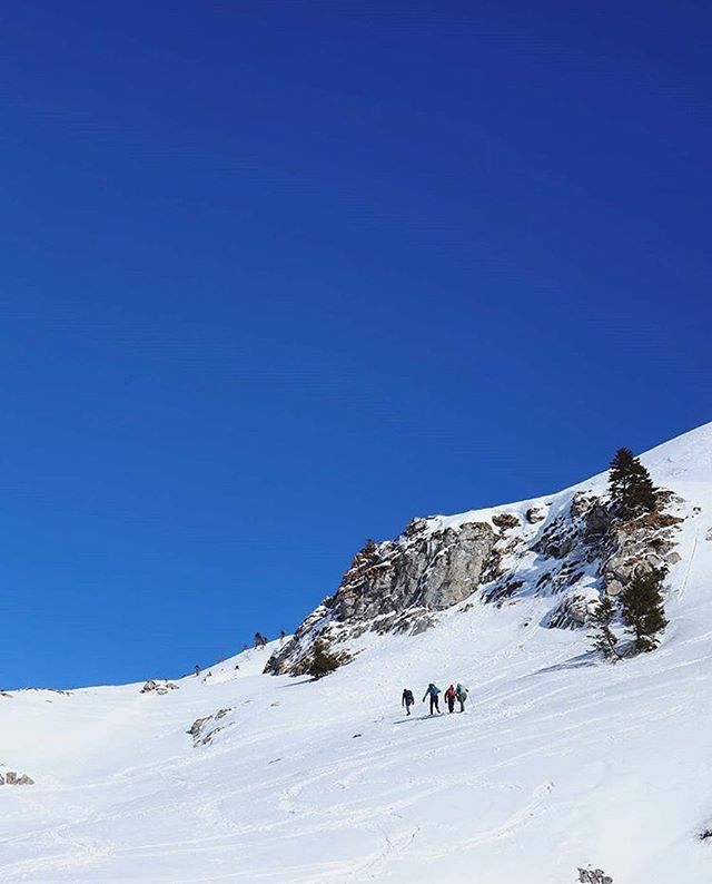 Una pausa tra cielo e terra, tra un bianco candido e un celeste terso. 😍 Oggi vi salutiamo da #MalgaPramosio dove @eliscrignaro ha scattato questa foto. Buon fine settimana Igers! 😉👋🏻
.
Continuate ad usare il nostro hashtag #igersud, le vostre foto e… ift.tt/2PAOdZy