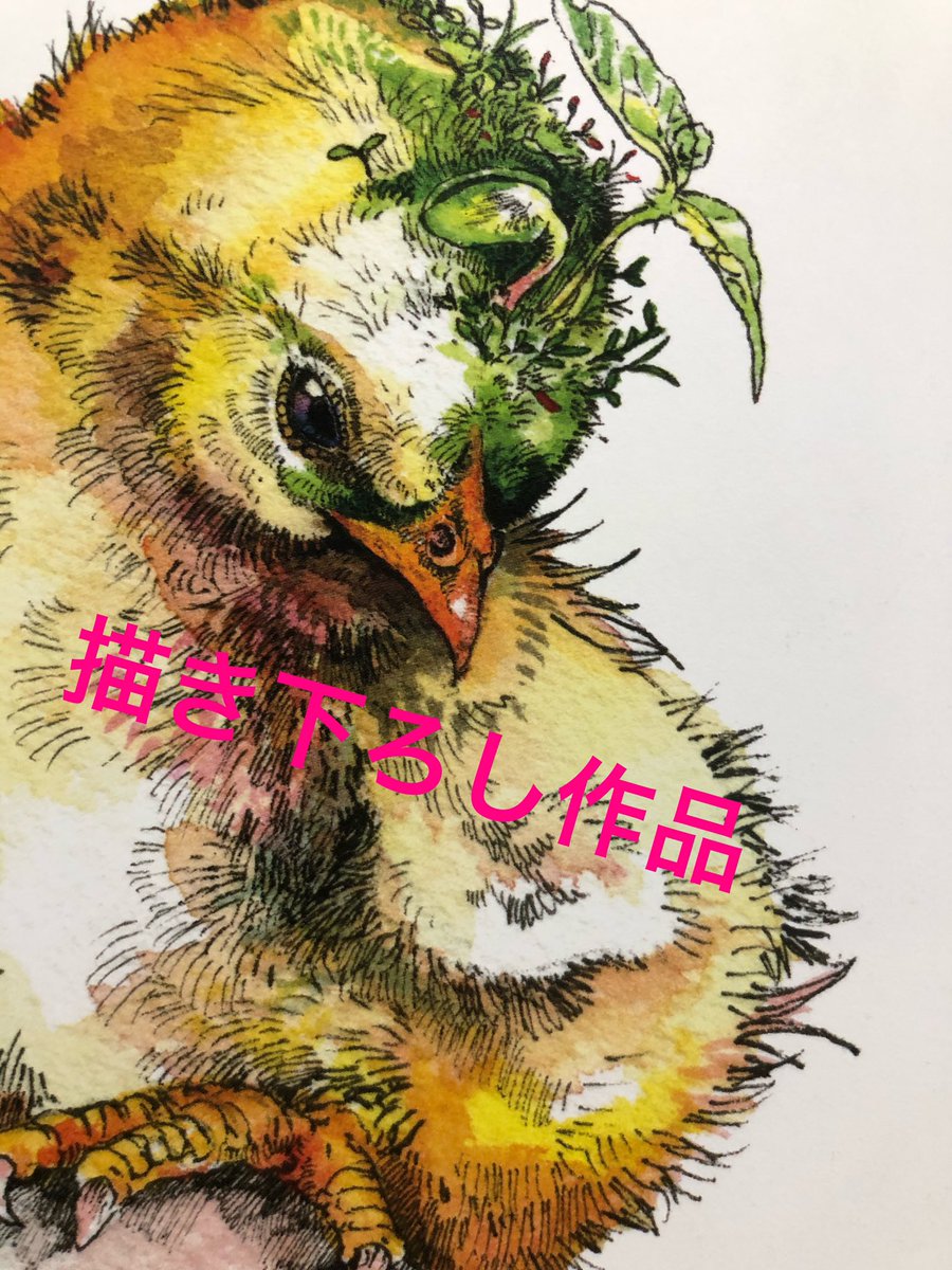 作品集、献本が届きました!!素晴らしい出来です!!
そして、この度帯コメントをなんとOfficial髭男dism vo/key 藤原くん @satoshi_higedan に頂きました!!
今一番忙しいバンドのフロントマンなのに、快く引き受けてくれました。彼のご厚意に応えれるよう頑張って活動していきます。ありがとう!! 