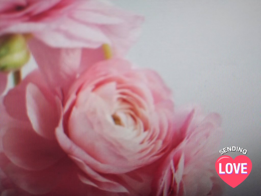 花散る宮廷の女たち