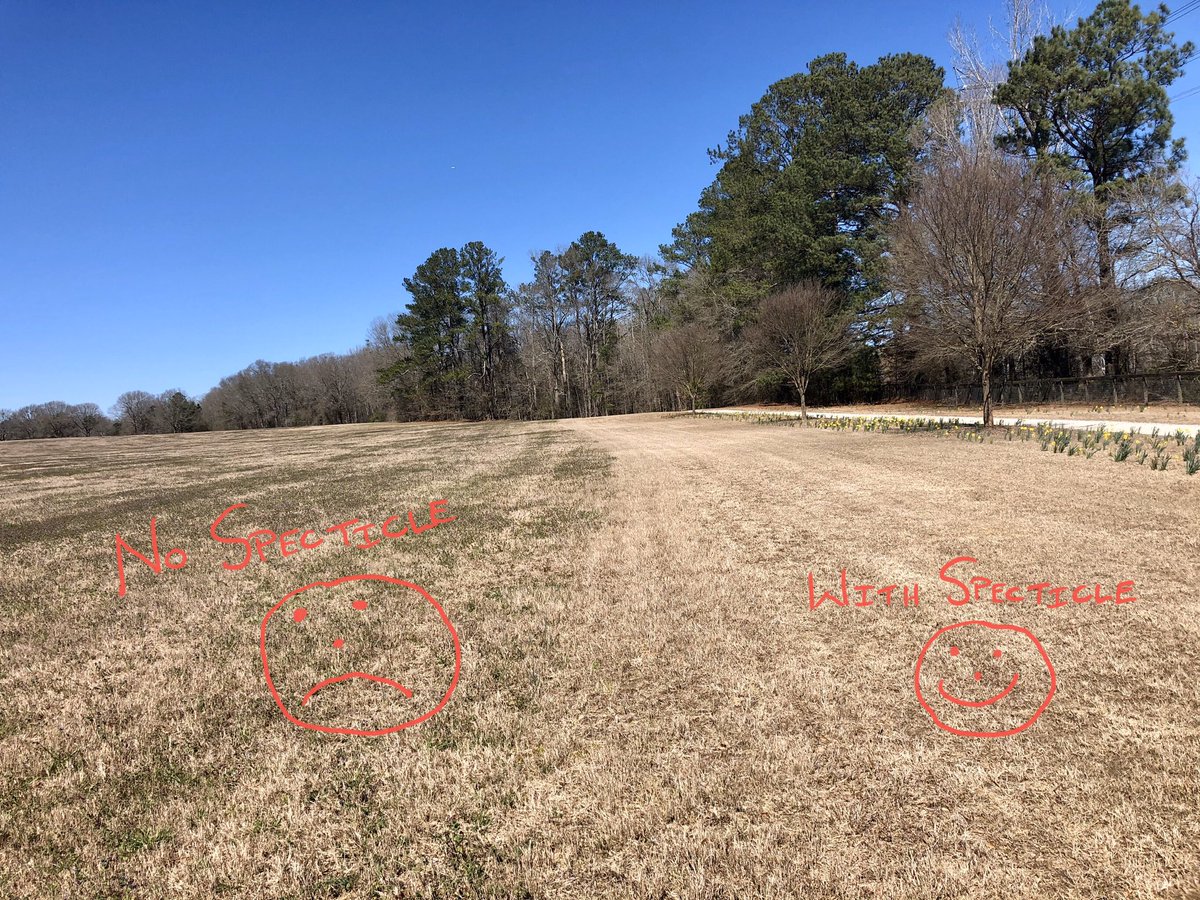 MisterGrowItAll's tweet photo. Wow what a #Specticle ! 😮A definitive difference can definitely be seen!    Smart move here! Simple math really. @RegalChemical + Specticle Flo®️= No Weeds!  #lawncare https://t.co/xg3UZm1E6I