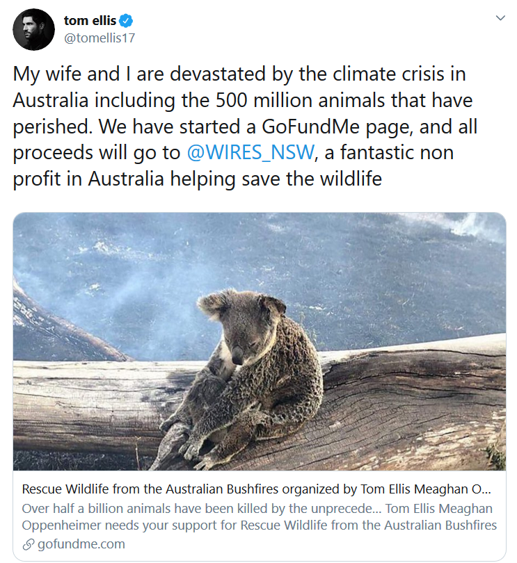 7) Tom Ellis and Meaghan Oppenheimer, his wife, asked people who wanted to send them wedding gifts to donate to Planned Parenthood instead. They also started a GoFundMe page to help rescue animals from the Australian bushfires. They raised 97k