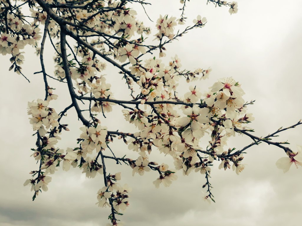 svendirai's tweet photo. 森林浴 #DiRai ®️ 2.020 https://t.co/JpKA0M1pqg