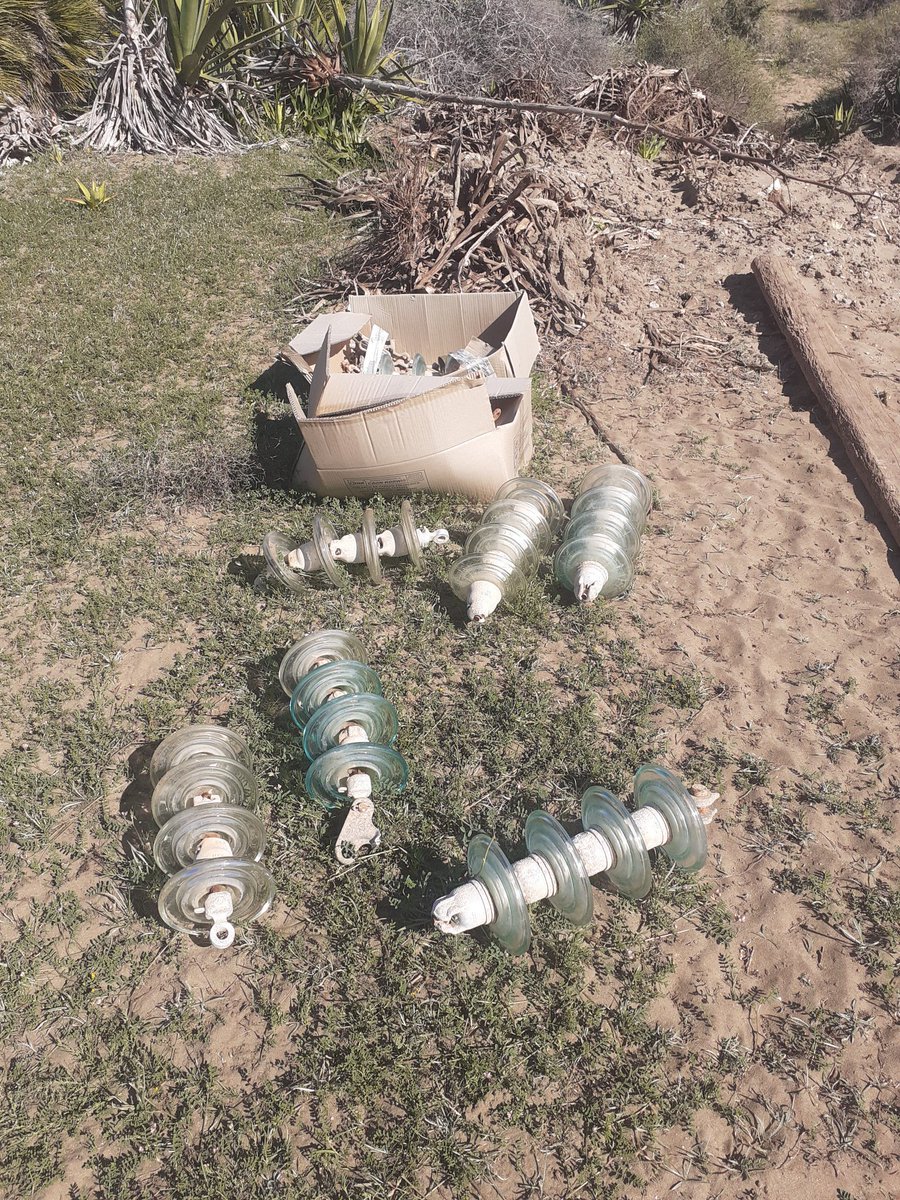 ea4agi's tweet image. Las cosas que te encuentras paseando por el campo 🌪