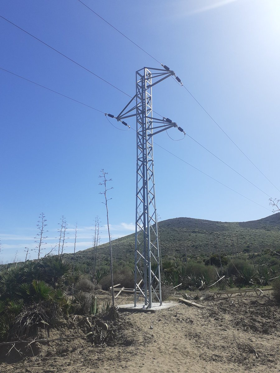 ea4agi's tweet image. Las cosas que te encuentras paseando por el campo 🌪