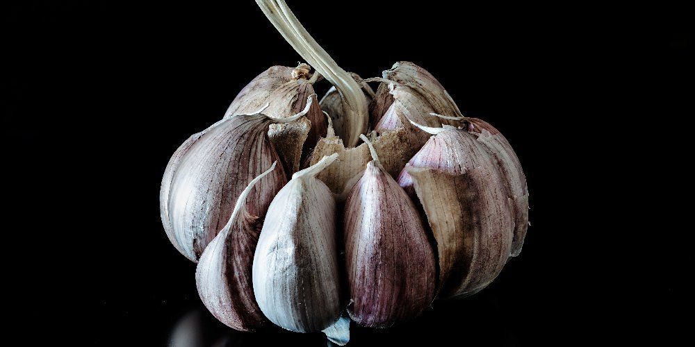 Siyah sarımsak normal sarımsaktan 2 kat daha fazla antioksidan içerir ve alzheimer’a karşı oldukça etkilidir.