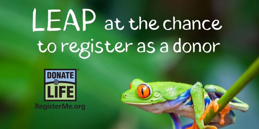 DonateLife's tweet image. Happy #LeapDay2020! We all have an extra day to save a life this year. Register your decision to be an organ, eye and tissue donor at RegisterMe.org or in your #iPhone Health App. #DonateLife 💙💚🐸