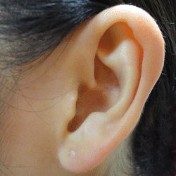 Pierceasi Para 特殊透明ピアスはお客様のピアスホールの状態 厚み 位置など様々な条件を考慮してオーダーメイドで製作しています 画像は耳たぶ用です ピアス 透明ピアス