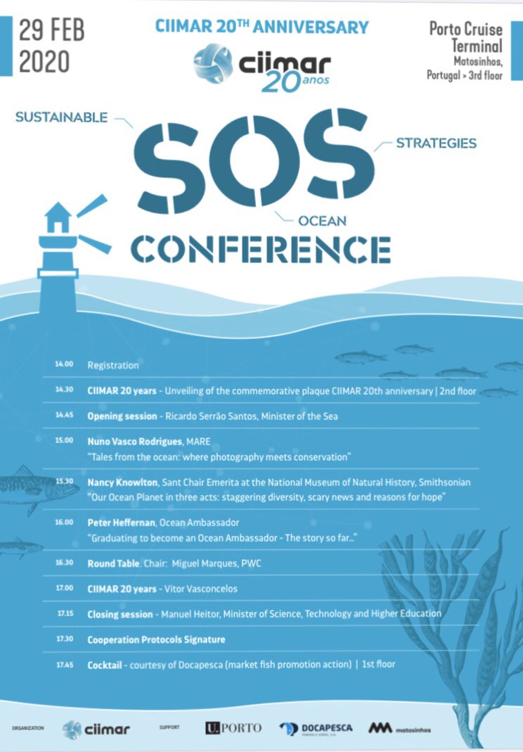 Nuno Vasco Rodrigues tweet media