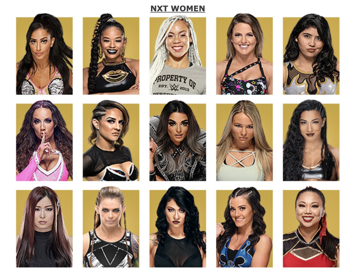 𝓬𝓪𝓼𝓮𝔂 𝓶𝓲𝓬𝓱𝓪𝓮𝓵 On Twitter Nxt Female Roster