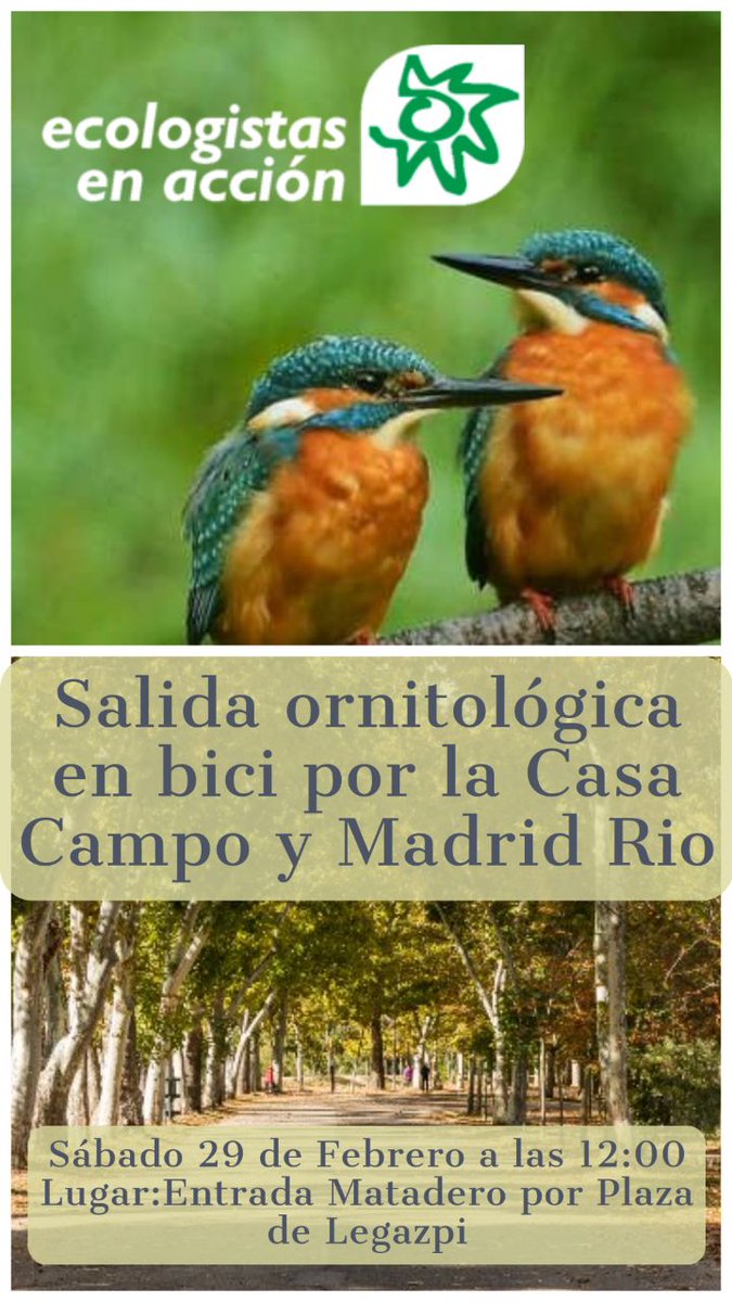 EeAmadrid's tweet photo. Mañana de sábado con bicis viendo pájaros por el renaturalizado tramo urbano del Manzanares y la casa de campo ¿Puede haber plan mejor? 🦆🌳 https://t.co/Cm6QTcShX9