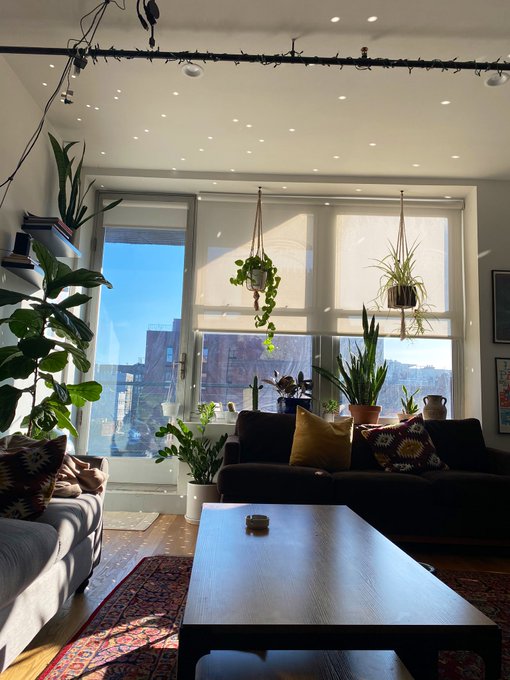 morning vibes ~~~ https://t.co/zzih2DxqCc