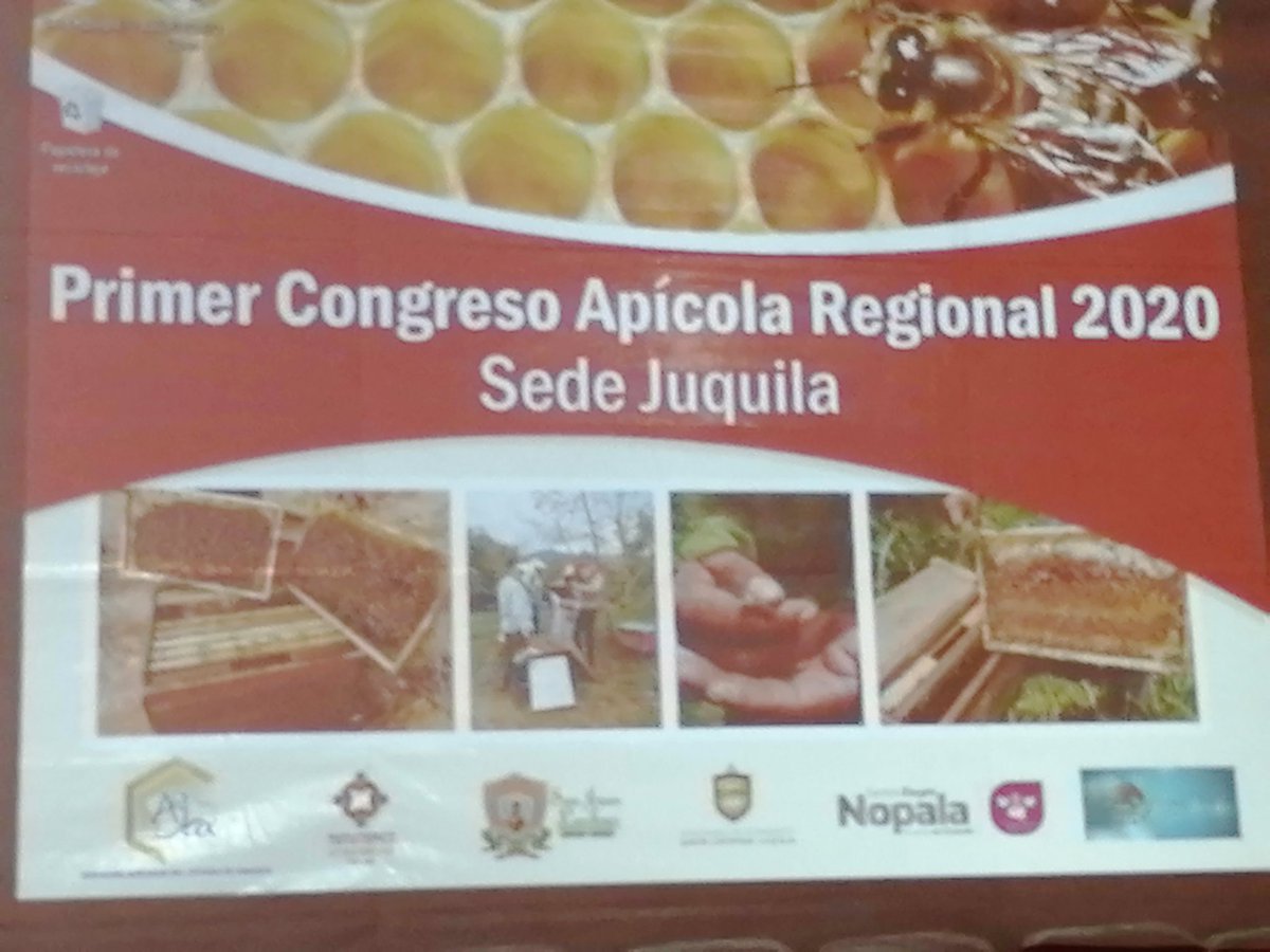 asganaren's tweet photo. Día de éxito del Congreso en #Juquila #Oaxaca, gran unión y planeación con nuestros colegas, vamos por el segundo día!
#MielVivaASGANAREN #ASGANAREN https://t.co/DQgSIeKH6e