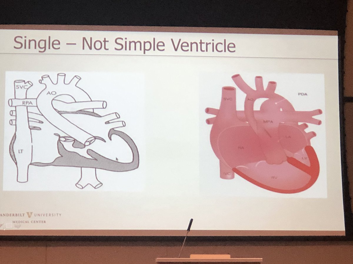 AlsaiedTarek's tweet image. Phenomenal talks #CETTS2020. Patients with #CHD and #heart failure benefit of early referral even before symptoms develop @ACTION4HF @LortsAngie @sasha_opo @SamWittekind @CincyKidsHeart @MasriAhmadMD @DrThomasRyan @ACHA_Heart @hummafied @barnesas @FredWuMD @NKasparian @sgcard