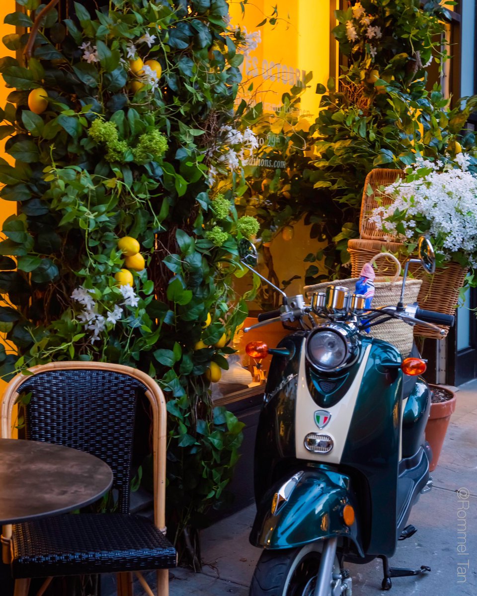 rtanphoto's tweet image. Early #springdecorations on this boring #winter at @SEZANE_PARIS , #NewYorkCity     
#spring #springiscoming #nyc #springflowers #lovespring #instaspring #sezane #newyork #sezanelovers #sezaneaddict  
#ilovenyc #timeoutnewyork #nycgo #paris #fashion @ThePhotoHour