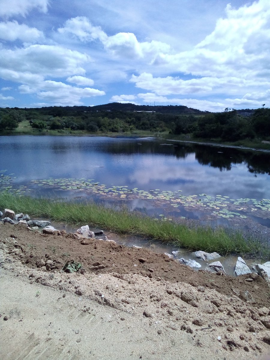 JefFrey_Mmopane's tweet photo. Beautiful weather today 💧👀 https://t.co/RDqxCqWBbb