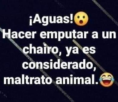 Cuido (@cuidojorgeplata) on Twitter photo 