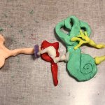 10歳娘さんが粘土をこねて作っていたもの・・・それは、なんと「耳」だったそう!なぜに、これを作ろうと思ったのか・・・!