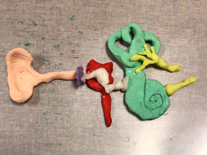 10歳娘さんが粘土をこねて作っていたもの・・・それは、なんと「耳」だったそう！！なぜに、これを作ろうと思ったのか・・・ｗｗｗ