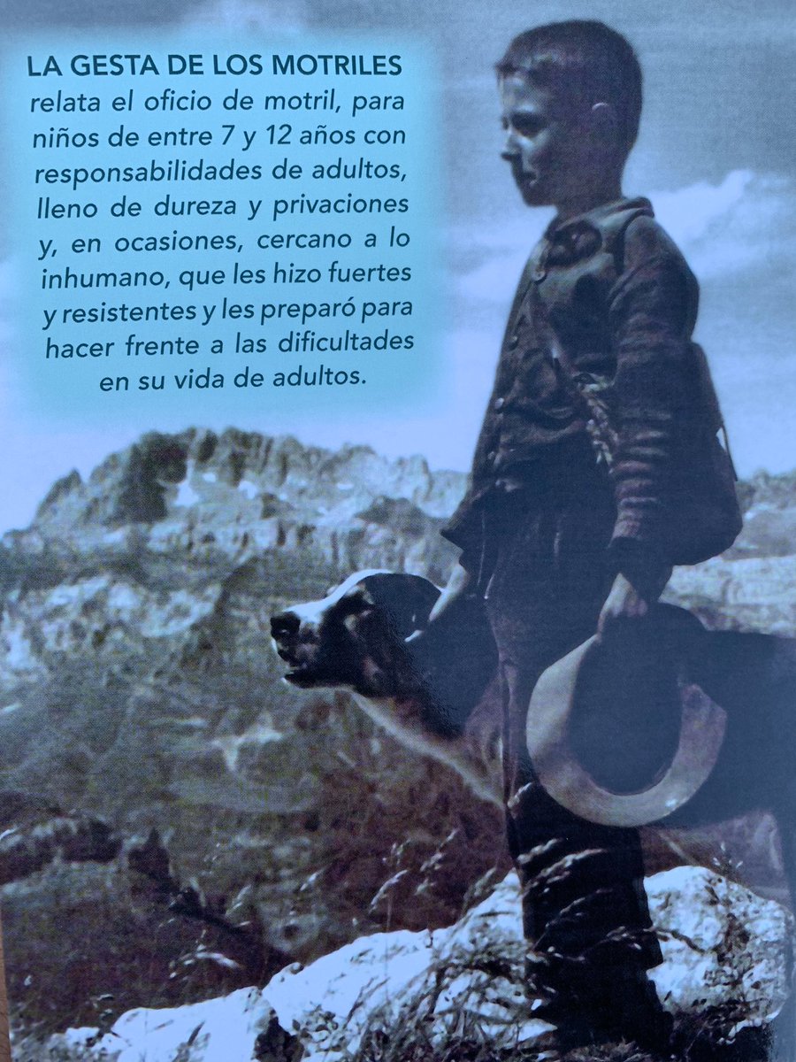 felipemolina73's tweet photo. Una maravilla de regalo, los “motriles” la cantera de los pastores.....🐑🐑🐑 https://t.co/G7DXZOsksI