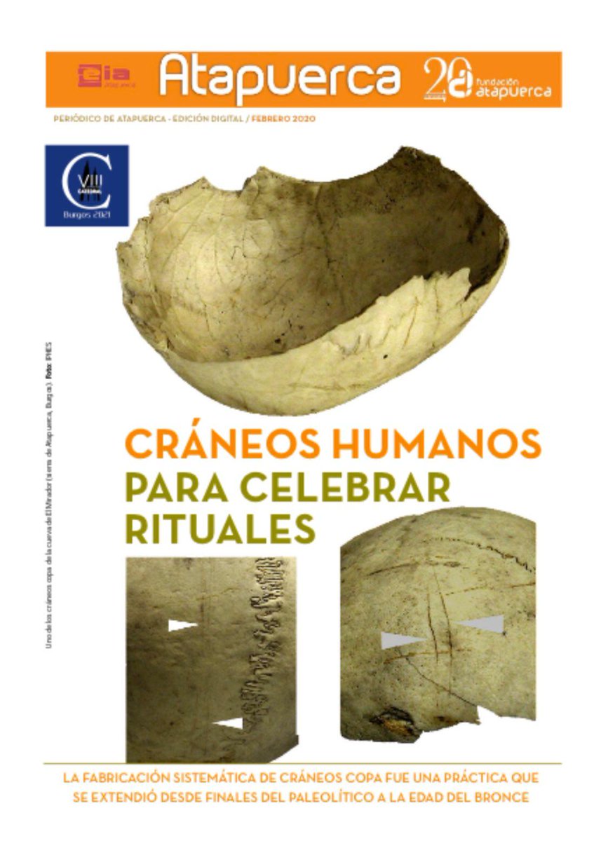 Cesc_Marginedas's tweet image. Super happy for our study that appears on the cover of Atapuerca&apos;s journal💀📊📈 #SkullCups #Cannibalism #ForensicTaphonomy #GIS #Atapuerca #TD6 #GoughsCave #Fontbrégoua #Herxheim #ElMirador  kiosko.atapuerca.org/Ejemplar/59203