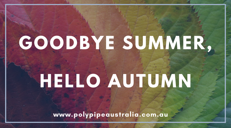 PolyPipe_Aus's tweet photo. 🍂🍁 Autumn is here! https://t.co/bvd2By3KoY