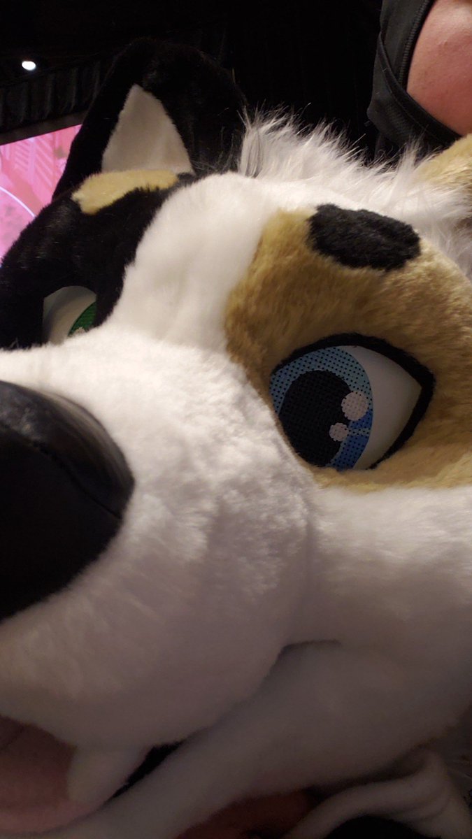 Tex_Shep's tweet photo. Ah Fursuit parades, brings me back to working parades with my family. https://t.co/7tZZiHTQXe