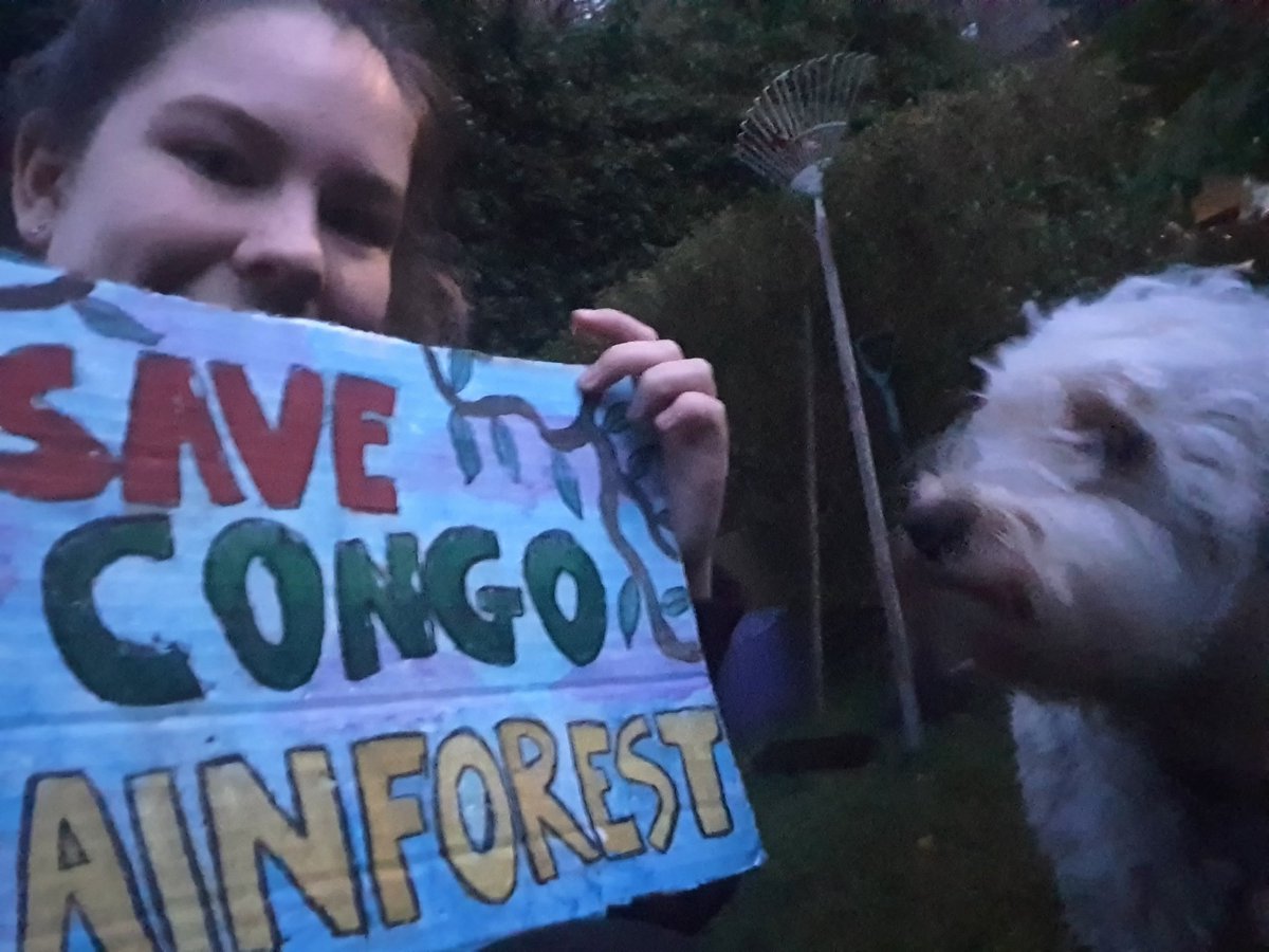 13) Hannaha Mackay,  @hannahamackayyy, aged 16, is an activist from Scotland who strikes to  #SaveCongoRainforest.  She's sometimes joined by her dog, Peggy!