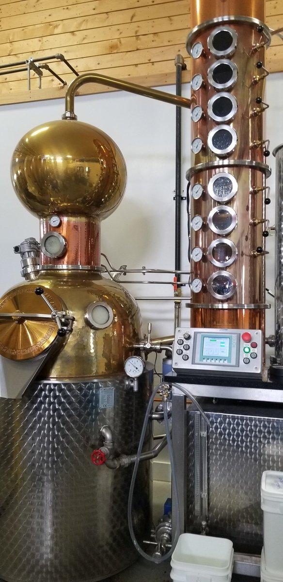 HfxLunch tweet media