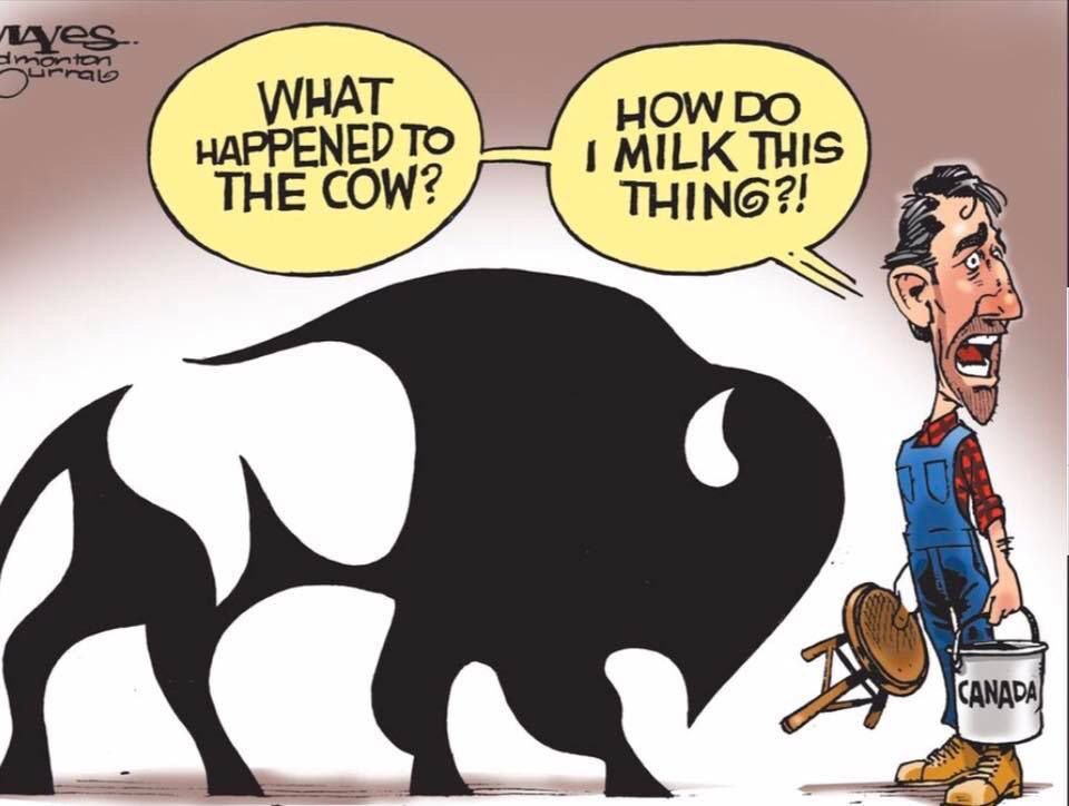 NicoleHenson's tweet image. #buffalodeclaration