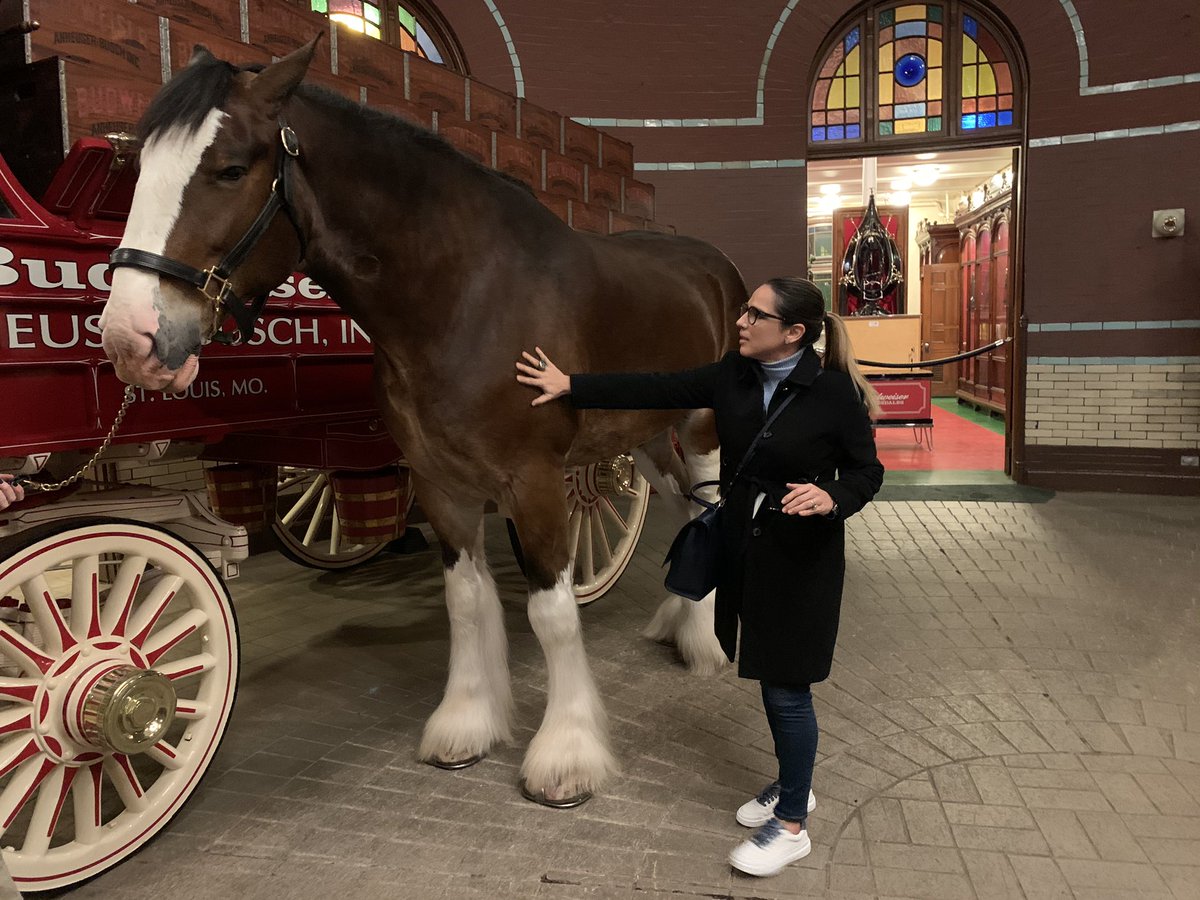Thank you to the great people and city of St. Louis!!  I’m enchanted by your history, culture, hospitality and charm.  Looking ahead to great beginnings and lasting partner relationships.  ⁣⁣
<a href="/explorestlouis/">Explore St. Louis</a>