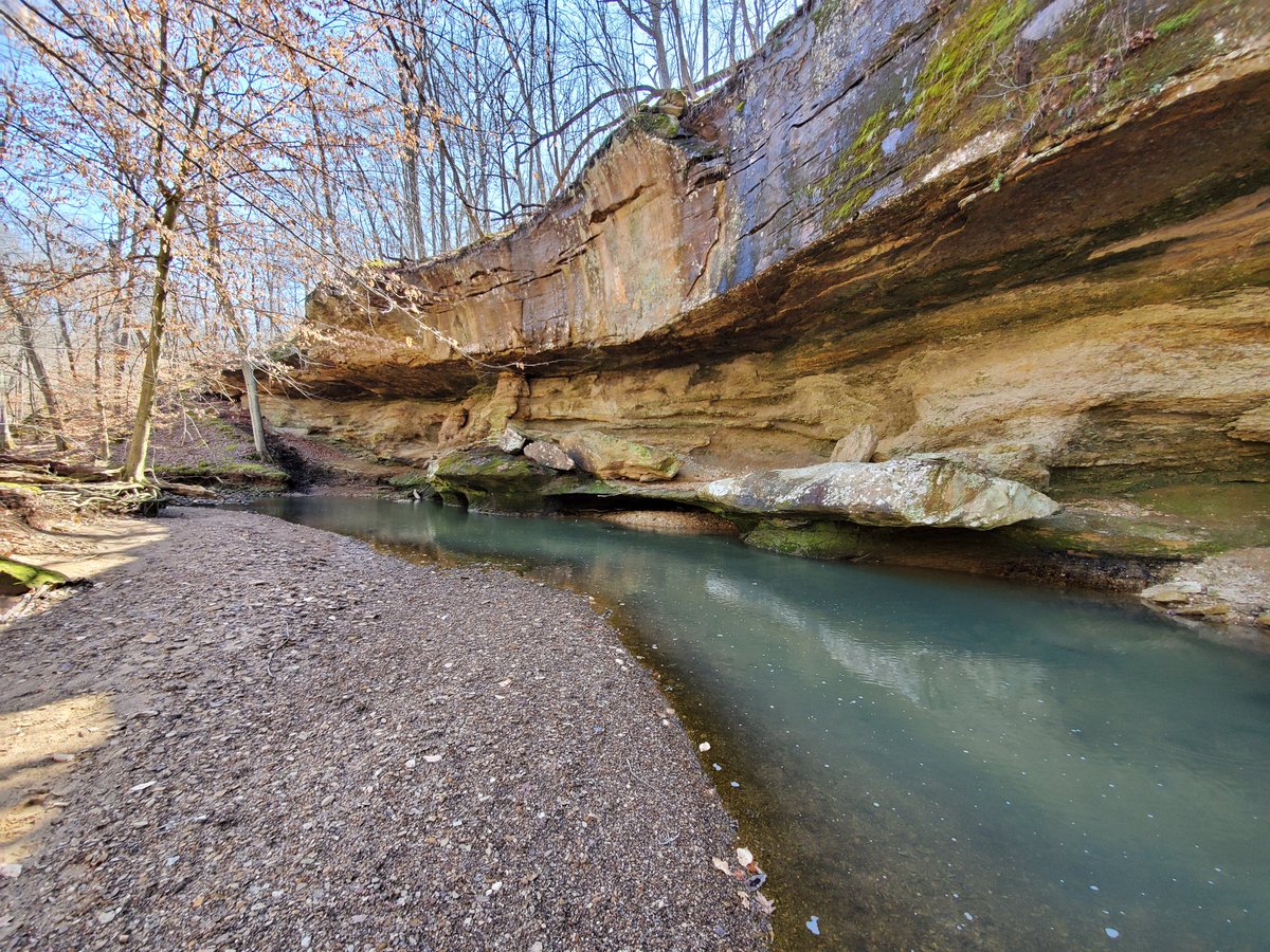 MissionTimber's tweet photo. West of DuQuoin and south of Steeleville on the Randolph-Jackson County line is a unique 198-acre area known as Piney Creek Ravine State Natural Area. Purchased in 1972 for its rare plant species and other natural features! https://t.co/QBqXTCayFB