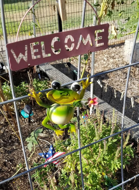 KPB_AZ's tweet photo. Happy Leap Day! 
#TakeThatExtraLeap🦖
#LeapDay2020
#LeapYear2020
#ExtraDay
#EveryFourYears
#EnjoyTheMoment
#DoBeautifulThings https://t.co/7A9AqjLGat
