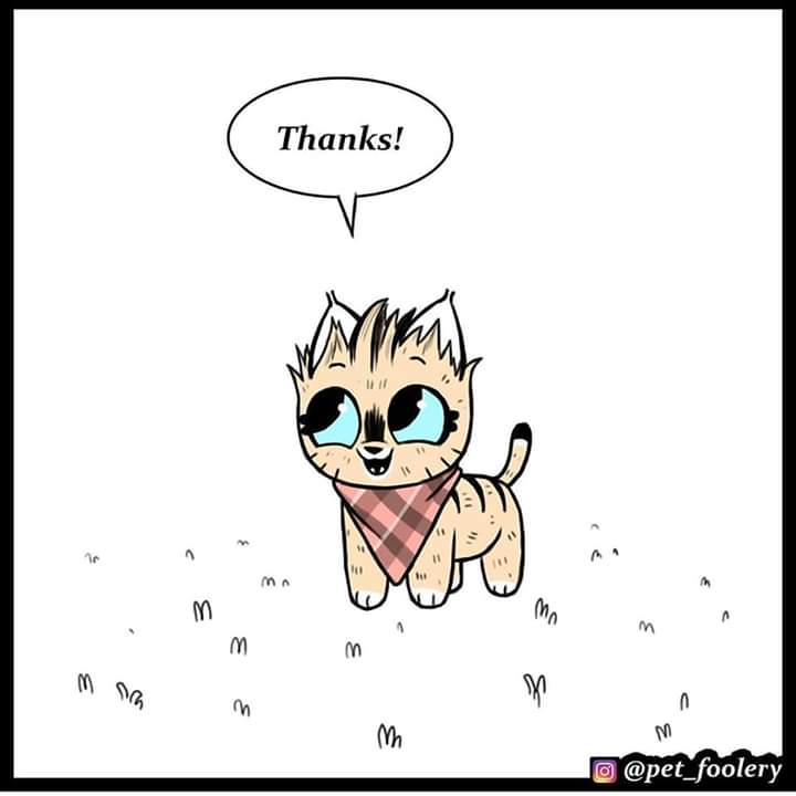 Pixieandbrutus's tweet photo. Some Magic 😂❤❤
#pixieandbrutus #pixieandbrutuscomics
#brutusandpixie
#petfoolery https://t.co/CUWiXVj51i