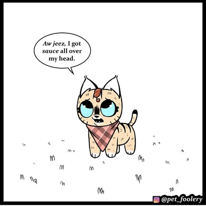 Pixieandbrutus's tweet photo. Some Magic 😂❤❤
#pixieandbrutus #pixieandbrutuscomics
#brutusandpixie
#petfoolery https://t.co/CUWiXVj51i
