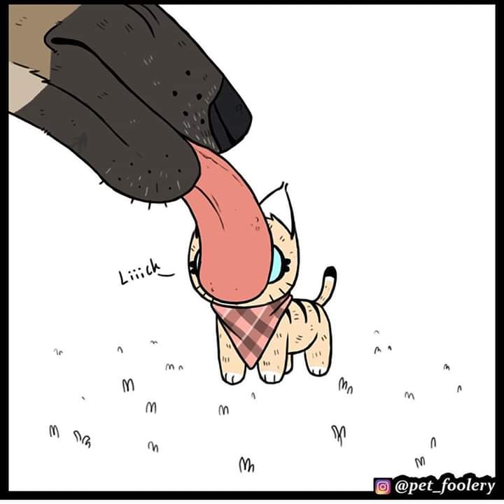 Pixieandbrutus's tweet photo. Some Magic 😂❤❤
#pixieandbrutus #pixieandbrutuscomics
#brutusandpixie
#petfoolery https://t.co/CUWiXVj51i