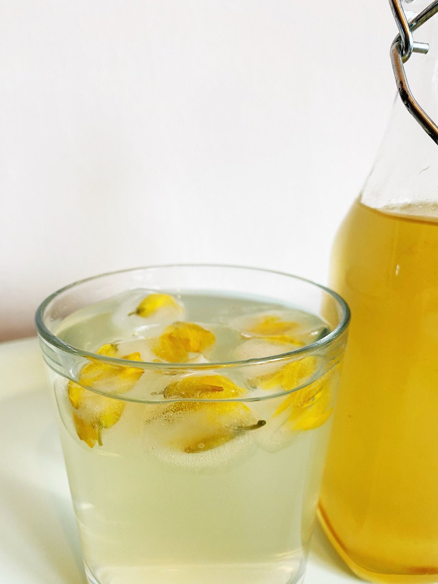 GrowCreateJoy's tweet photo. “When gorse is out of bloom, kissing is out of season”. 

When gorse is in bloom, make refreshing gorse flower cordial and floral ice 🌼🍋🍹 

Over on my blog is a little how to make this drink https://t.co/CtvkDSxjSX

#edibleflowers #gorseflowers #flowercordial #foragedflowers https://t.co/QNqCWWbMO5