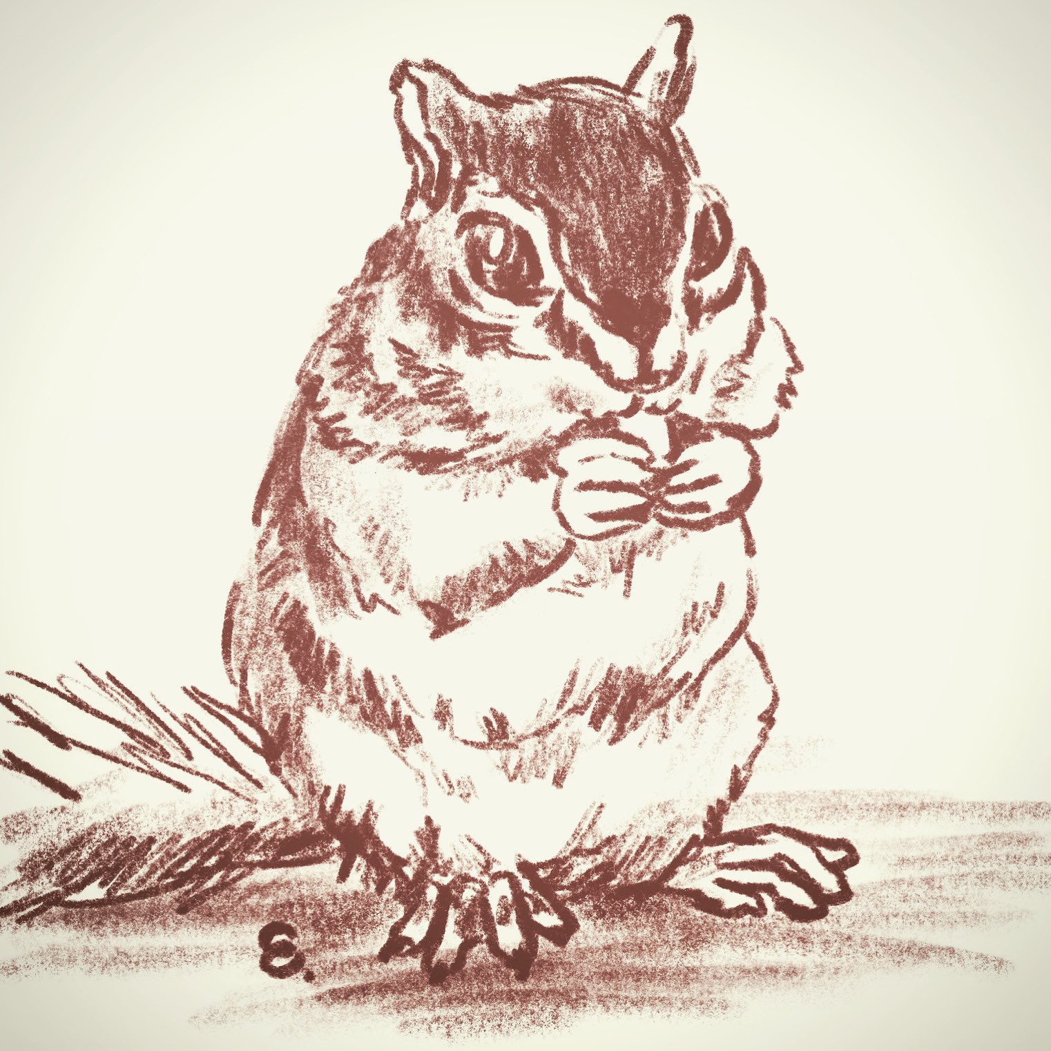 Little Shop 福士 3 24 27新宿東口出展 おやすみなさリス 1日1絵 2月29日 やっぱりシマリスが好き 引き続き 他のリスも練習しますが シマリスは描きやすい リス シマリス 小動物 動物 イラスト スケッチ 落書き Sketch Drawing Illust