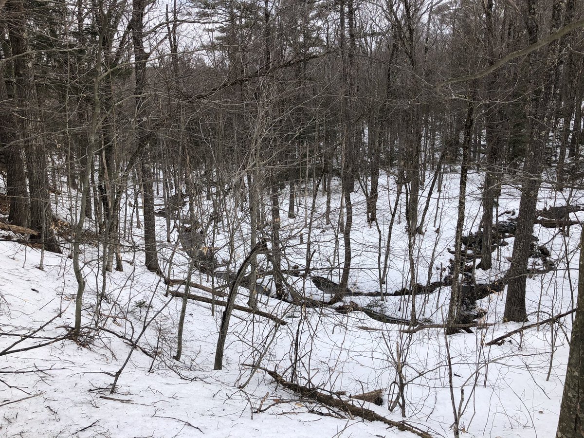 MarcHurBoston's tweet photo. Hey, look what I found. 👀 #northpack #nh @AMCLocalWalks https://t.co/5HOEziHNcr