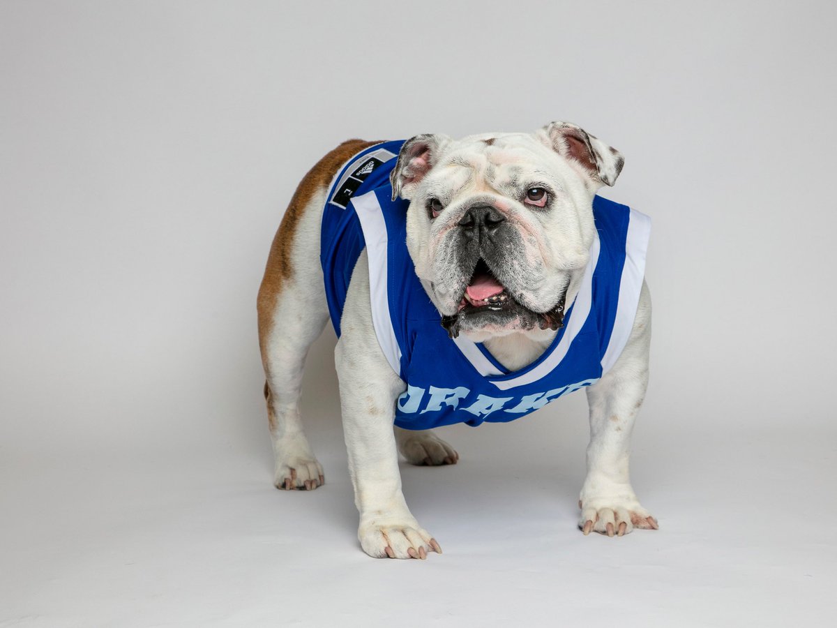 Tonight‘s the night. My jersey will be retired during the <a href="/DrakeBulldogsMB/">Drake Basketball</a> game. I’ve worn #1 with the utmost pride. Onto #2. Thanks for loving me,<a href="/drakeuniversity/">Drake University</a> . Let the  #ForeverOurDog celebration continue. See you tonight, friends! 🎉 #IAmSoProudToBeYourDog #DSMHometownDog
