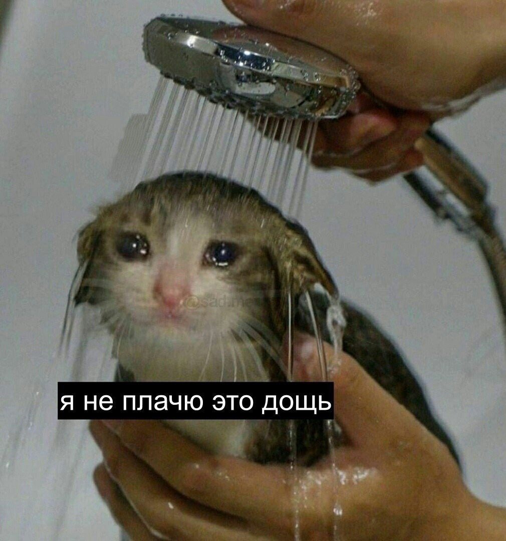 pathology_death's tweet photo. Состояние на ближайшую жизнь: https://t.co/nuZ3VPSOW8