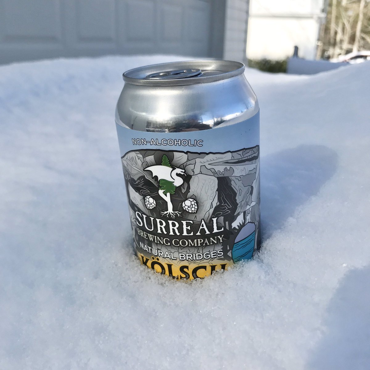 .@CoSurreal Free can cooler today! #SnowDay
