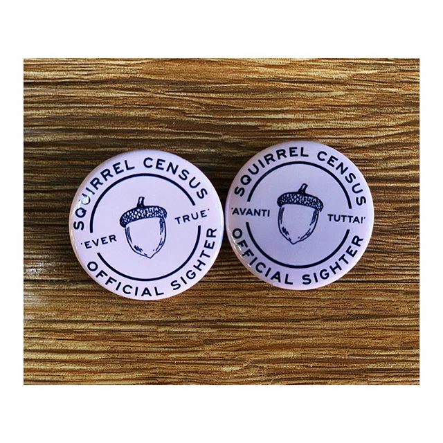 SquirrelCensus's tweet photo. We have new buttons and pencils for our upcoming counts. #squirrelcensus #nycopendataweek #opendata https://t.co/iBPYJqBadc https://t.co/ckmwN1AMdi