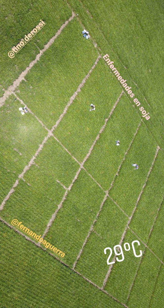 Esp. Protección Vegetal UCC tweet media